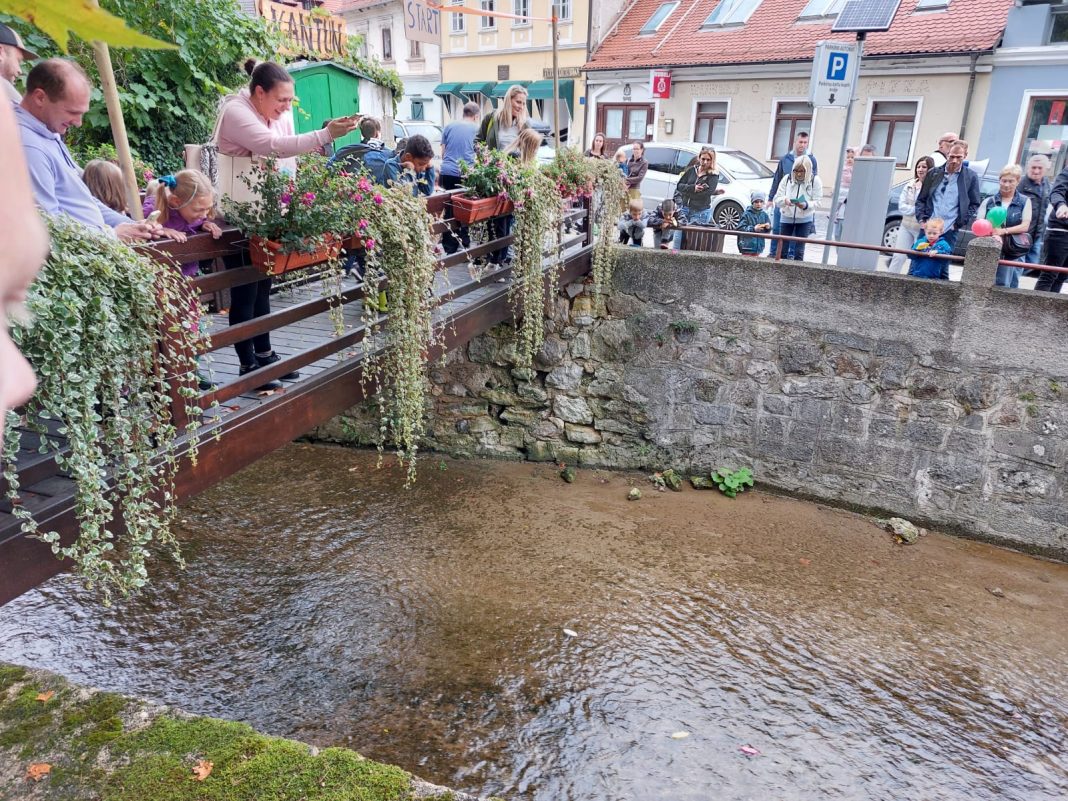 slika s utrke brodića 12
