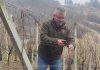 Vincekovo u Zagorskim Selima označilo početak nove vinogradarske godine