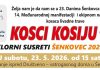 KOSCI KOSIJU 2026: Poziv na povratak tradiciji u Šenkovcu