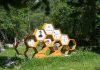 Nova stručna podrška za ruralni turizam: Besplatne edukacije i certificiranje za pružatelje usluga