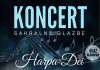 Harpa Dei stiže u Zaprešić: Koncert sakralne glazbe uz slobodan ulaz