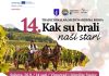 „Kak su brali naši stari“: tradicija berbe grožđa ove subote ponovno oživljava u vinogradu Vugec
